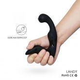 Estimulador de Próstata Recarregável- Landy