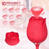 Vibrador Duplo Estimulo com Vai e Vem - Formato de Rosa-Greebaby