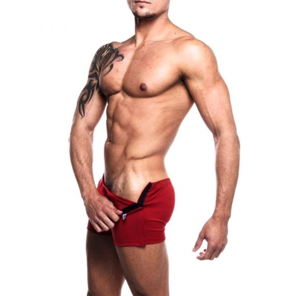 Boxer Gogo Boy