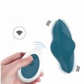 Vibrador de Calcinha  ou de Clitóris com Controle - Recarregável